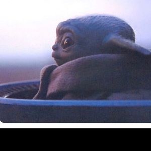 Meet your Posher, Lupe